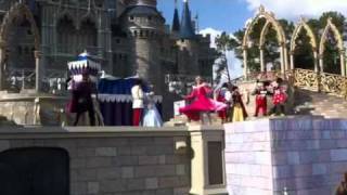 Magic Kingdom Show