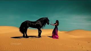 Sahara Essence - Arabic Music (Instrumental)