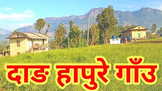 Dang Hapure Village View|| दाङ हापुरे गाउँ||Dang Village||nepal||vlog||