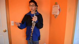 Mendini Bb Clarinet: REVIEW