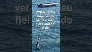 hino ccb #shorts