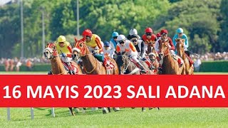 16 MAYIS 2023 SALI ADANA AT YARIŞI TAHMİNLERİ VE YORUMLARI