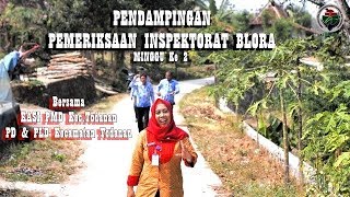 Pendampingan Pemeriksaan inspektorat di Kecamatan Todanan Kabupaten Blora  MINGGU KE 2