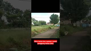 Keindahan kampung dengan rumah tempo dulu yang diinginkan orang kota bikn betah nyaman