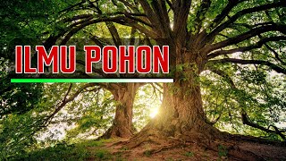 Belajar dari pohon | | 🛑 ALAM jadi GURU