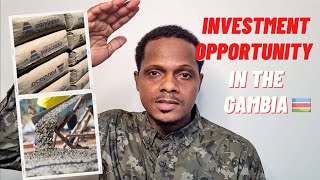 CEMENT PROCESSING PLANT NEEDED IN THE GAMBIA | WHERE IS DANGOTE CEMENT?