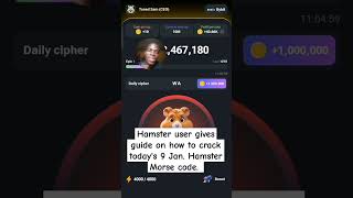 How to earn daily cipher for today's  #hamsterkombat #hamsters #hamsterbabies #cryptocurrency