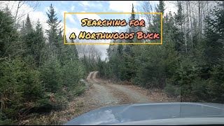 Maine Northwoods Deer Hunting - Ep. 2