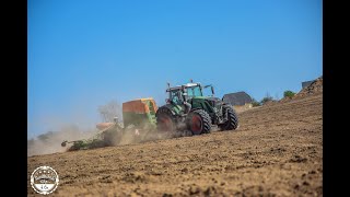 Mais legen // John Deere 8295R, Fendt Vario 939, Amazone EDX, Horsch Joker // Miethke & Weisemann