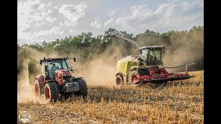 Mais häckseln // Claas Jaguar 940 , Kubota M7171 , Fendt Vario 924 , 927