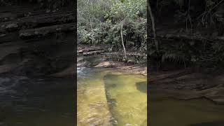 Cachoeira do Canion. 🍃#cachoeira #pirenopolis #goias #viajacarol #waterfall