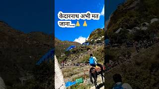 अभी केदारनाथ मत जाना Don't Go To Kedarnath 🙏🙏#kedarnath #kedarnathyatra2023