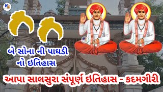 આપા સાલસુરા સંપૂર્ણ ઇતિહાસ કદમગીરી / aapa salasura kadam giri / Kesar Stories / History In Gujarati