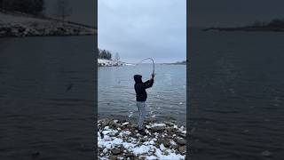 Winter time catfish #fishing #bluecat #flathead #channelcat #catfish