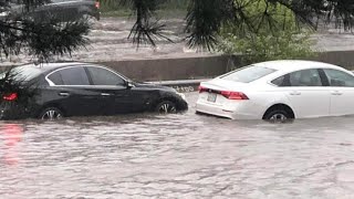 #rain #flooding #nycrain #shortsfeed #shortvideo #grateful #asmr #rainsounds