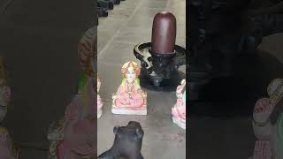 MANDIR KE LIYE ORIGINAL NARMADESWAR SHIVLING IN MAHAKAL SOURUP CONTACT ON 8103481032