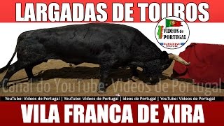 Largadas de Touros Bravos: BRINCADEIRAS, CORNADAS, SUSTOS, Feira Outubro 2016 - Videos Portugal