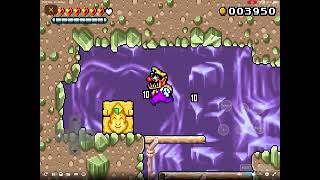 Wario Land 4 Palm Tree Paradise