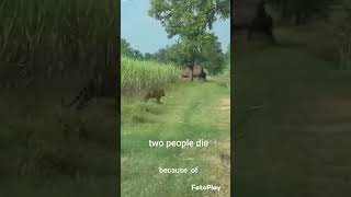 pro 100 gaming Baghpat Uttar Pradesh to people die # latest news#education #funny #emotional #viral