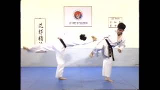 Hapkido KHF basic technique (kibon) Part 1