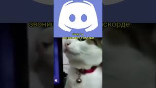 #мемы #дискорд