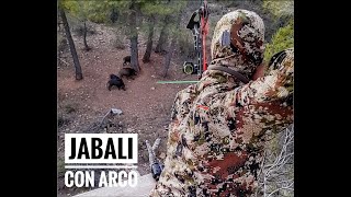 Bowhunting - Espera de Jabalí Con Arco