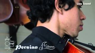 Aileen Musical Instruments, Professional Viola Supplier