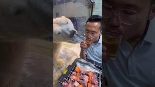 Polar Bear’s Cute Attempt to Drink Juice at Zoo #shorts