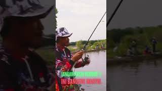 JANGAN KASIH KENDOR ‼️ INI BANDENG MANTUL