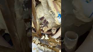 Dynasty hot tub manifold freeze repair