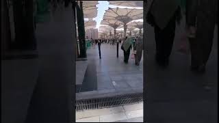 Every Muslim wish visit Madina please Allah call everyone here