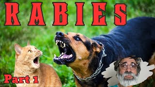 Part 1: "Rabies Exposed: Understanding the Basics"