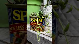 Island Style Plant Obsession #plants #SPAM