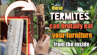 Restoration - Termites eating this table from di inside !!! ~ [Part 1: table legs disassembly]