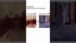 Perbedaan Kucing Prancis Vs Kucing Indonesia #meme #shorts