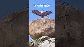 Le Pakshi "Get up Bird" #jatayu #lepakshi #jatayu_live #birds #andhrapradeshtourism #viral #shorts