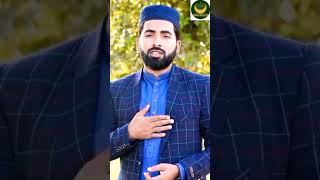 Hafiz Asim Ali Jamati || Main punjtani Hun