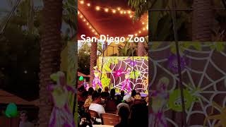 Siguiente semana video completo #sandiego #zoo #zoology