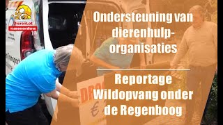 Dierenambulance en Droomcheque voor Wildopvang onder de Regenboog