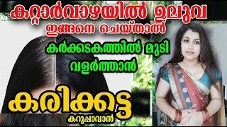 ഈ കർക്കിടകത്തിൽ ഇതൊന്നു ചെയുതു നോക്ക്/karkadaka hair care /poppy vlogs/malayalam