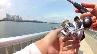 Singapore Fishing @ Pandan - Product Testing