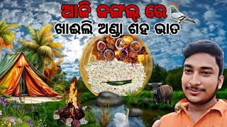 ଆଜି ଜଙ୍ଗଲ୍ ରେ ଖାଈଲି ଅଣ୍ଡା ଶହ ଭାତ//🥘 odia camping video day camping in forest 🌱