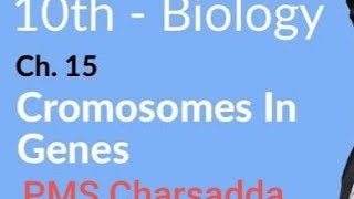 Chromosomes in Gene's PMS GRADES 10 inheritance  lecture 2