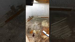 Cómo recuperar un piso vieja p2 #limpiezadesagradable #cleaning #limpiezaextrema #satisfying