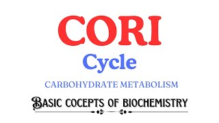 Cori cycle #biochemistry | Cahill cycle