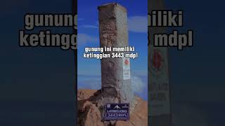 Gunung Latimojong | Bulu ratemario #pendaki  #gunung  #pecintaalamindonesia