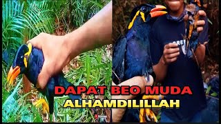 MIKAT BURUNG BEO PAGI HARI PAS HUJAN GERIMIN BEO NYA LANGSUNG DAPAT