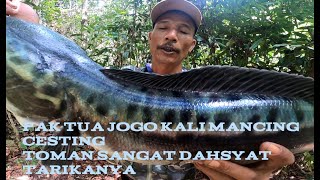 PAK TUA JOGO KALI MANCING CESTING IKAN TOMAN SANGAT DAHSYAT TARIKANYA