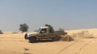 Dubai desert rallye