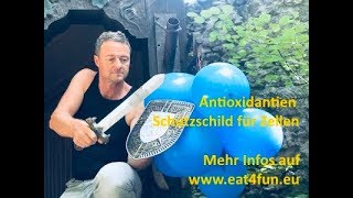 Antioxidantien - Schutzschild der Zellen